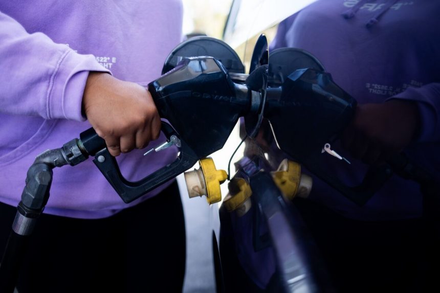 venezuela,-los-postores-chocan-por-el-valor-de-citgo-en-la-subasta-de-la-corte