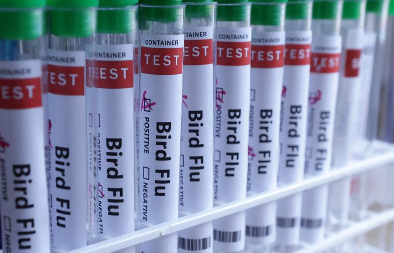 nebraska-confirma-el-primer-caso-de-gripe-aviar-en-el-rebano-de-ganado-lechero