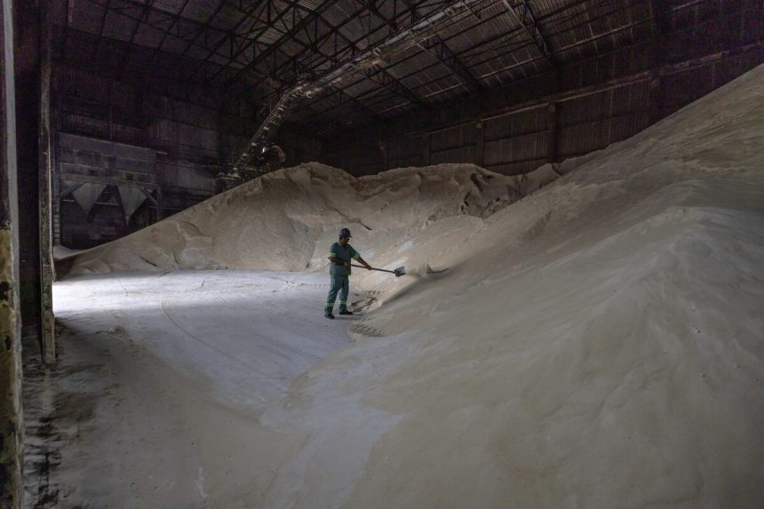 el-azucar-cae-en-la-expectativa-de-la-produccion-de-brasil-aumentara-las-reservas