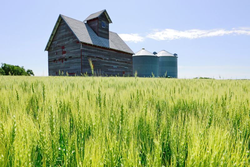 los-agricultores-estadounidenses-enfrentan-‘calamidad-financiera’-sin-ayuda-adicional-pronto,-dicen-los-legisladores-republicanos