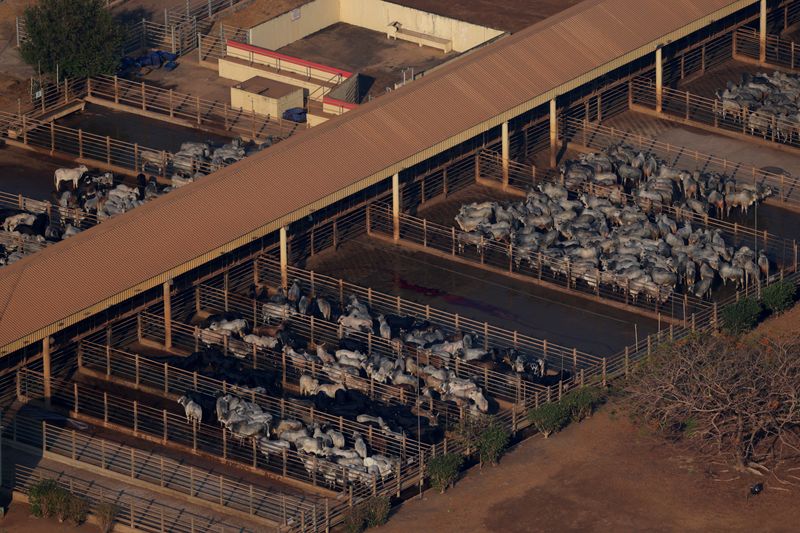 las-exportaciones-de-carne-de-brasil-a-nosotros-para-caer-aun-mas-en-septiembre-despues-de-las-tarifas,-dice-el-grupo-de-la-industria