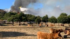 espana-cuenta-el-costo-del-verano-de-incendios-forestales-‘pesadilla’