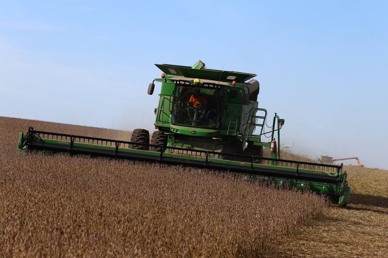 trump-trade-war-fallout-golpea-a-los-trituradores-de-soya-argentina-a-pesar-del-auge-de-las-exportaciones
