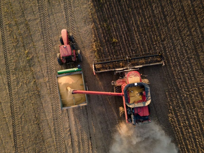 rally-de-soja-para-futuros-de-grano-antes-de-la-llamada-telefonica-de-trump-xi