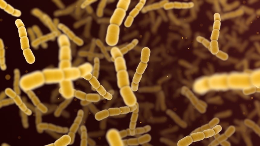 las-superbacterias-ganan-terreno-sin-antibioticos-a-la-vista