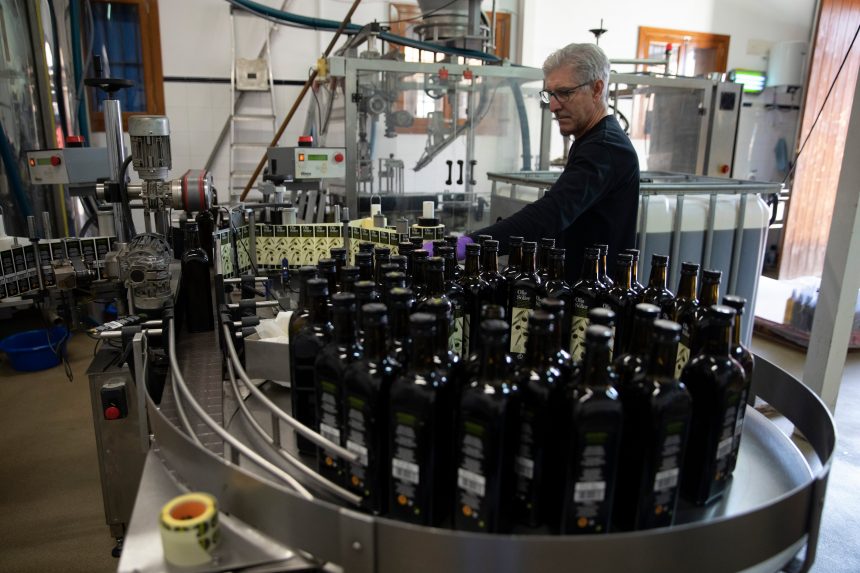 el-aceite-de-oliva-se-encarece-en-origen-y-marca-maximos-anuales