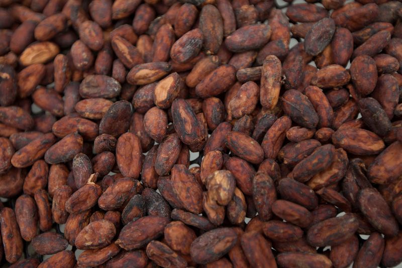 ecuador-se-convertira-en-el-productor-de-cacao-numero-2-del-mundo,-dice-el-jefe-de-la-industria