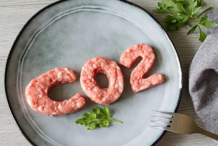 greenlight-for-advanced-project-para-explorar-el-co2-a-la-comida-con-fondos-de-20-millones-de-euros