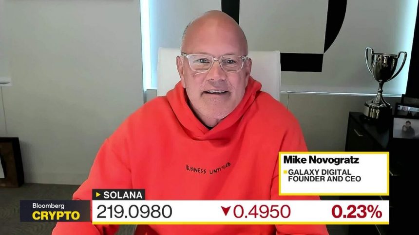 las-acciones-estan-en-un-‘momento-euforico’,-dice-novogratz
