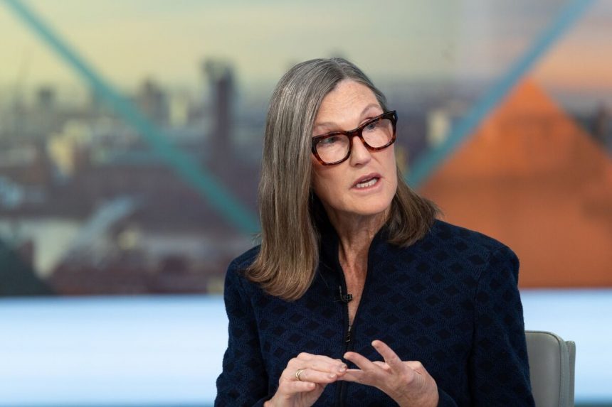 cathie-wood-compra-alibaba-despues-de-cuatro-anos-en-el-regreso-de-china