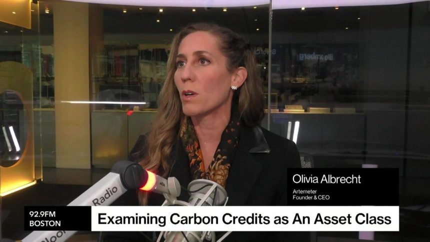 la-demanda-en-el-mercado-de-credito-de-carbono-continua,-dice-el-ceo-de-artemeter