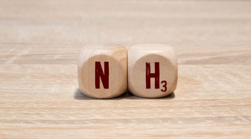 hy2gen-aprobado-para-la-planta-de-amoniaco-renovable-de-noruega