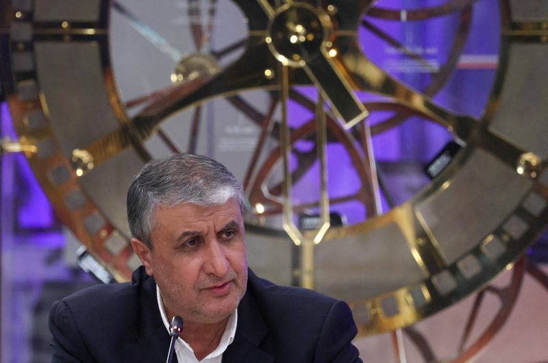 el-vicepresidente-de-iran-dice-que-no-vacilara-de-su-programa-nuclear