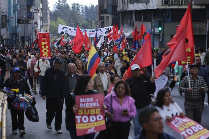 los-inversores-de-ecuador-estan-apostando-a-nomoa-se-apegaran-a-sus-recortes-de-subsidios