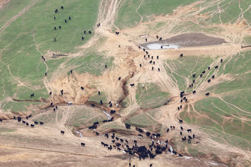 el-plan-del-usda-para-reconstruir-el-rebano-de-carne-de-res-no-incluira-pagos-de-productores,-dice-el-secretario-de-la-granja