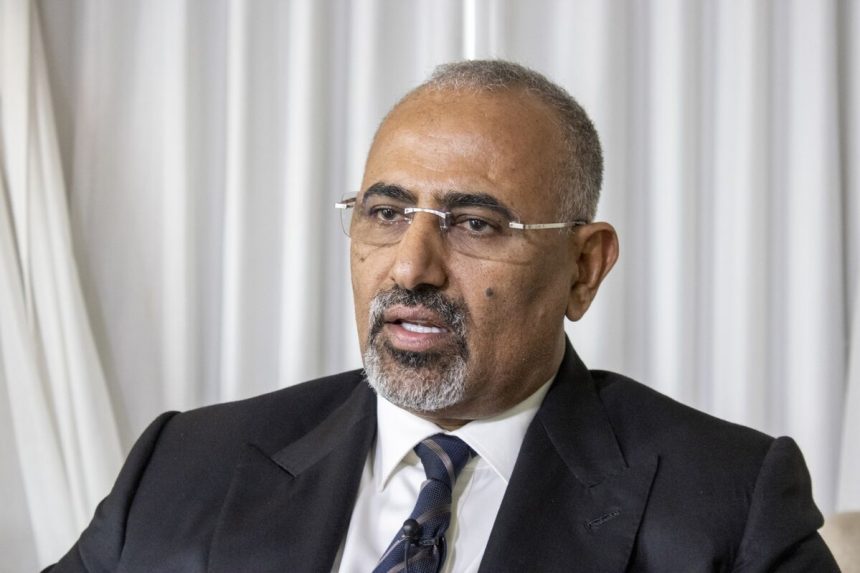 el-vicepresidente-de-yemen-dice-que-los-huties-pueden-ser-derrotados-en-seis-a-doce-meses