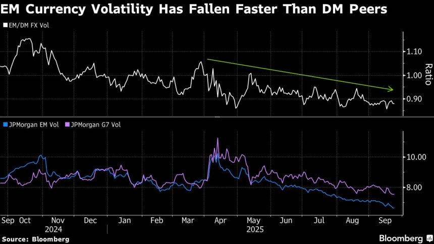 em-carra-la-vuelvia-al-comercio-aumentada-al-facilitar-los-columpios-de-fx,-dicen-los-analistas