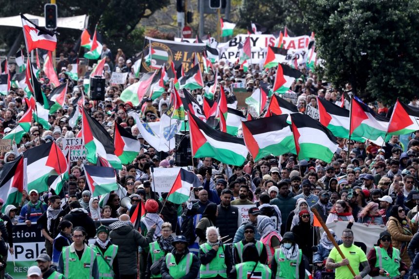nueva-zelanda-no-reconocera-a-palestina-en-descanso-con-los-socios