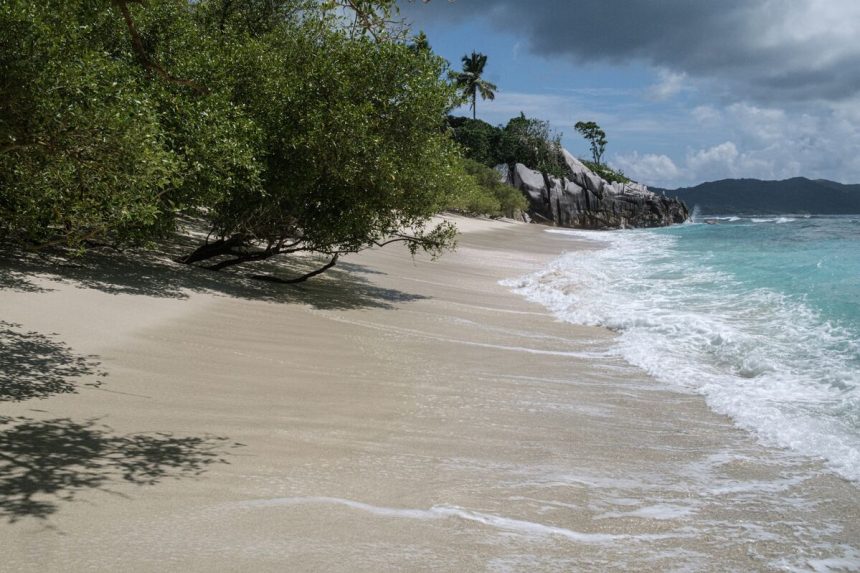 lider-de-seychelles-que-condujo-ofertas-de-reactivacion-posterior-al-covid-por-un-nuevo-periodo