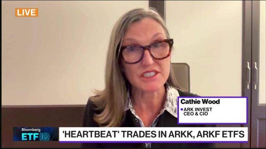 no-se-quien-esta-detras-de-los-oficios-‘heartbeat’:-cathie-wood