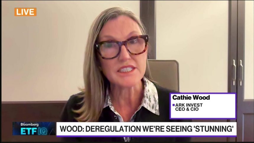 cathie-wood-de-ark-discute-crypto,-inflacion-e-opi