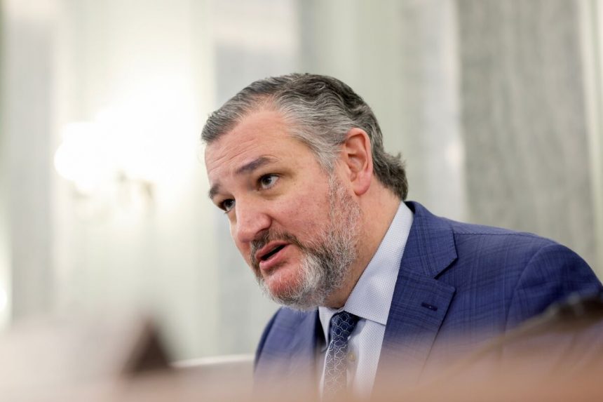 cruz-nos-presenta-como-la-alternativa-de-energia-de-africa-a-china