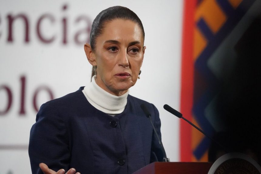 sheinbaum-de-mexico-para-conocer-a-los-acreedores-que-luchan-contra-el-multimillonario-salinas