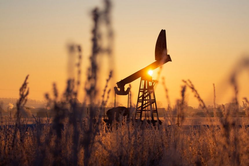 aceite-estable-despues-de-una-caida-de-dos-dias-con-opep+,-riesgo-de-cierre-en-el-enfoque