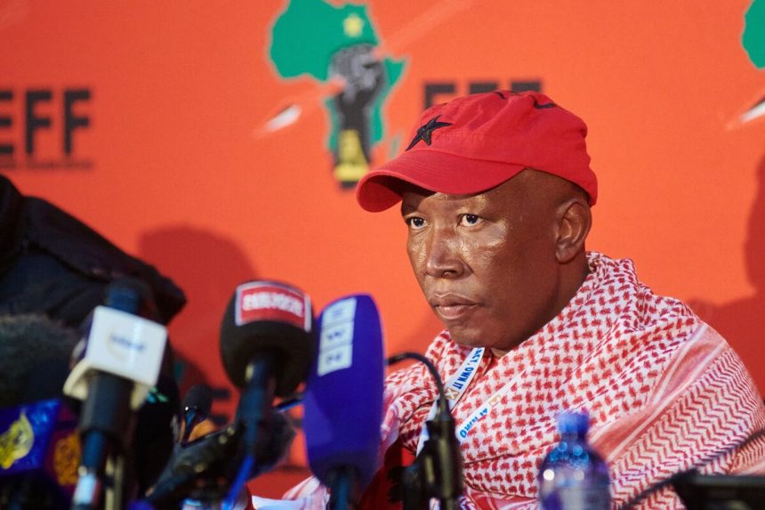 brata-de-fuego-sudafricana-malema-culpable-de-romper-las-leyes-de-armas