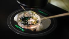 los-cientificos-hacen-embriones-a-partir-de-adn-de-la-piel-humana-por-primera-vez