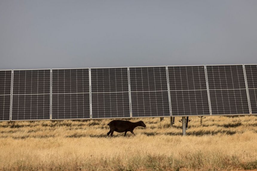 el-auge-de-la-energia-renovable-de-espana-afloja-el-agarre-de-los-precios-de-la-energia