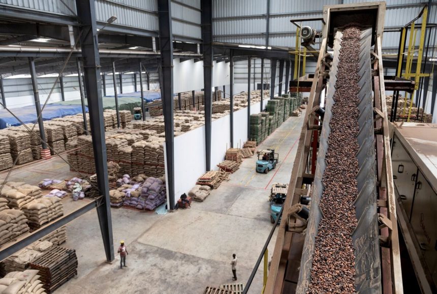 ghana-aumenta-el-precio-de-cacao-en-respuesta-al-mejor-productor-de-marfil-de-marfil