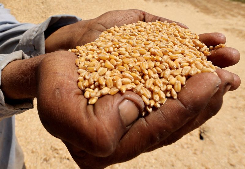los-precios-mundiales-de-los-alimentos-se-sumergen-a-medida-que-cae-en-el-azucar-y-los-lacteos,-compensan-nuevos-alto-para-la-carne