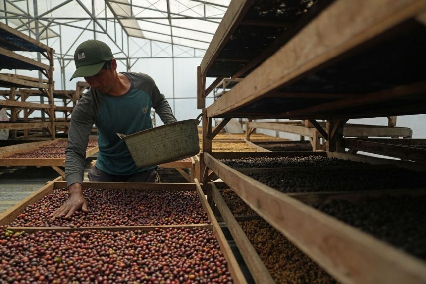 los-futuros-de-cafe-avanzan-sobre-las-preocupaciones-sobre-el-clima-seco-en-brasil