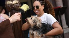 mira:-mascotas-en-todo-el-mundo-bendecidas-para-feast-of-saint-francis