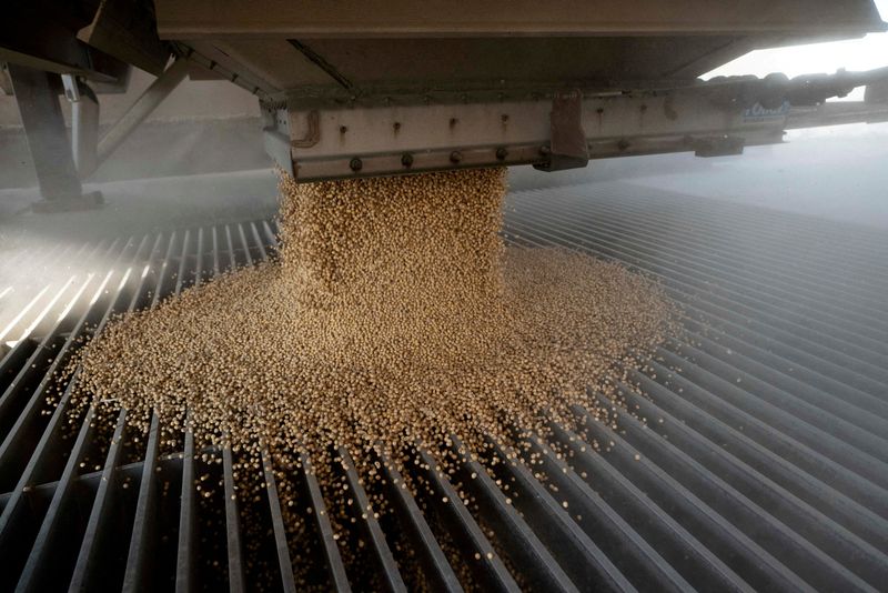 el-rescate-de-trump-para-los-agricultores-de-los-estados-unidos-esperados-esta-semana