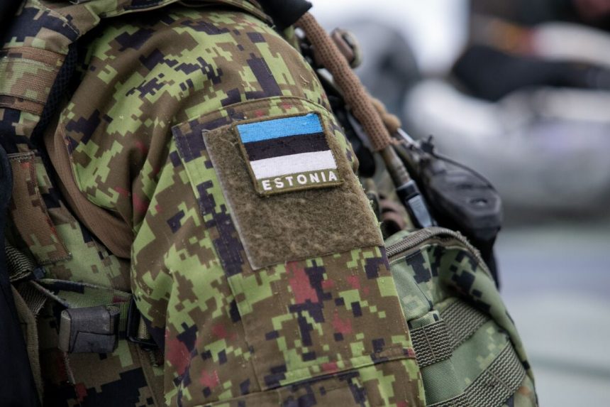 estonia-declara-culpable-a-un-guardia-nacional-de-espiar-para-rusia