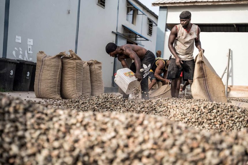 el-caos-comercial-global-de-trump-crea-una-oportunidad-para-los-agricultores-africanos