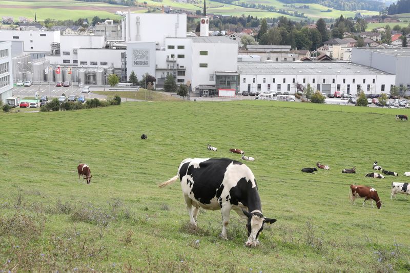 nestle-deja-de-la-alianza-global-sobre-la-reduccion-de-las-emisiones-de-metano-lacteos