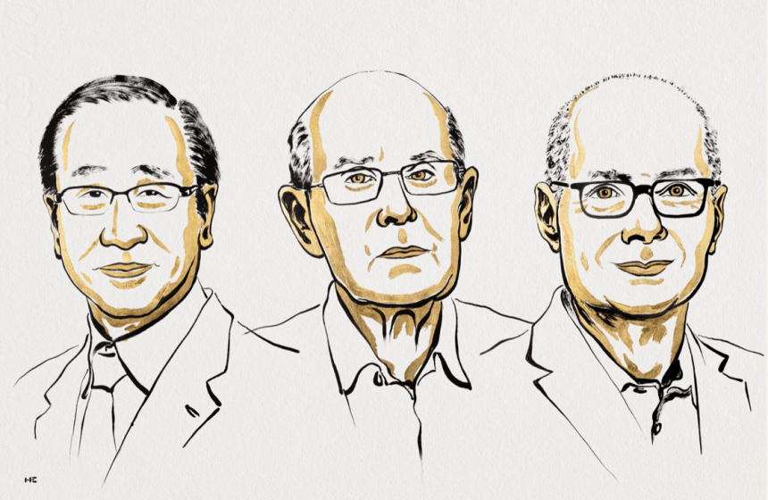 premio-nobel-de-quimica-otorgado-a-trio-por-trabajo-sobre-marcos-organicos-de-metal