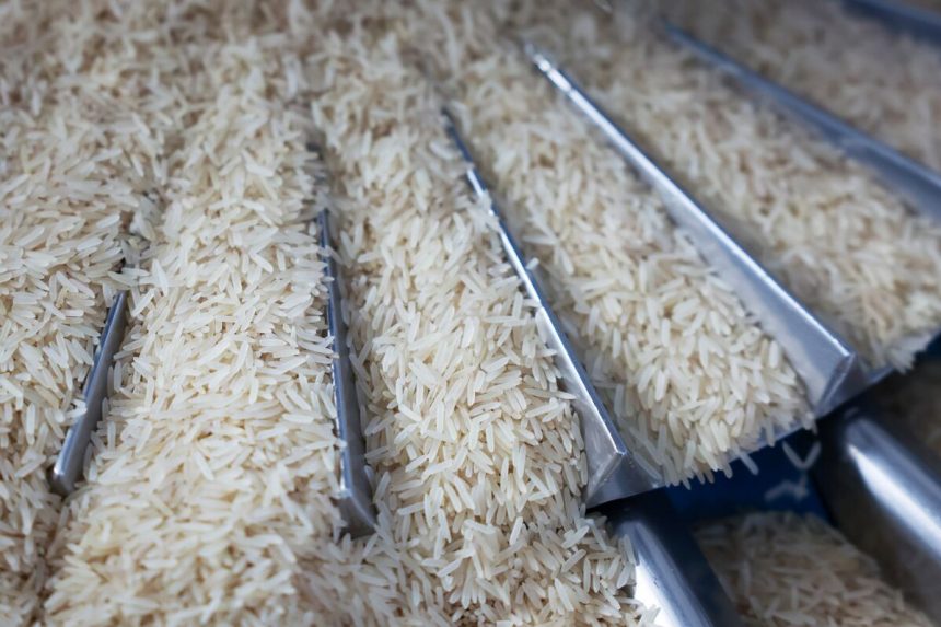 el-valor-de-referencia-del-arroz-alcanza-su-nivel-mas-bajo-en-10-anos,-lo-que-alivia-la-presion-sobre-los-precios-de-los-alimentos