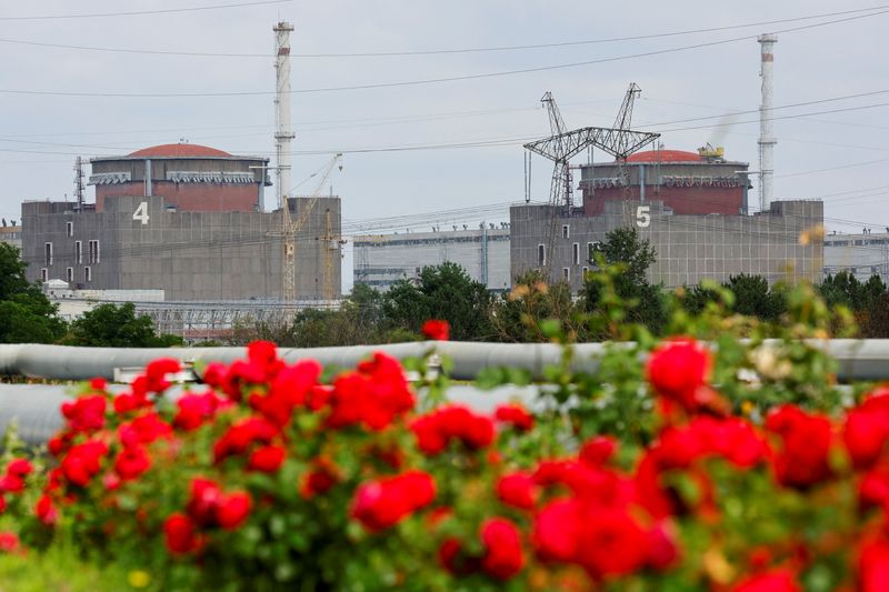 oiea:-comenzo-el-proceso-para-restaurar-la-energia-externa-a-la-planta-nuclear-de-zaporizhzhia-en-ucrania