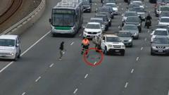 familia-de-patos-rescatada-de-una-transitada-autopista-australiana