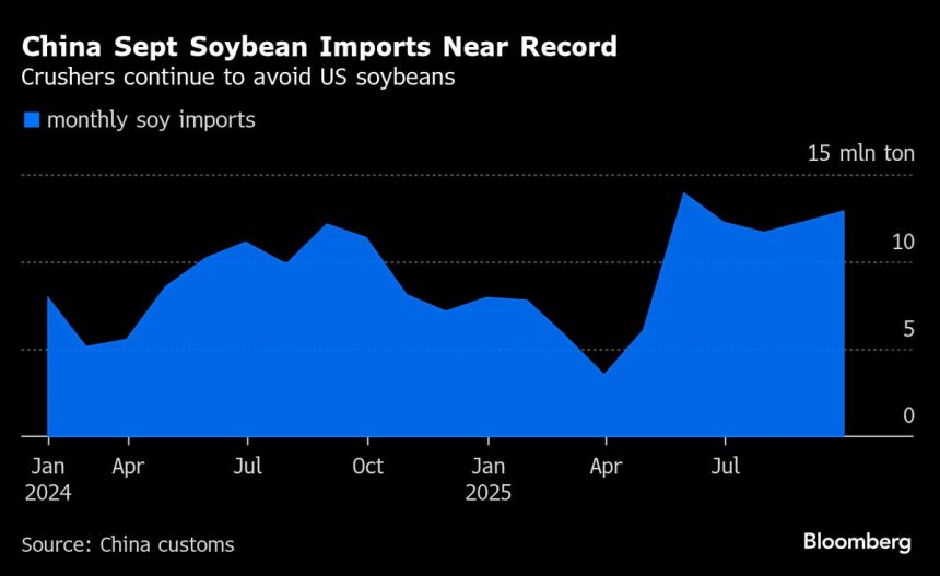 las-importaciones-de-soja-de-china-alcanzan-un-record-en-septiembre,-a-pesar-de-evitar-a-ee-uu.
