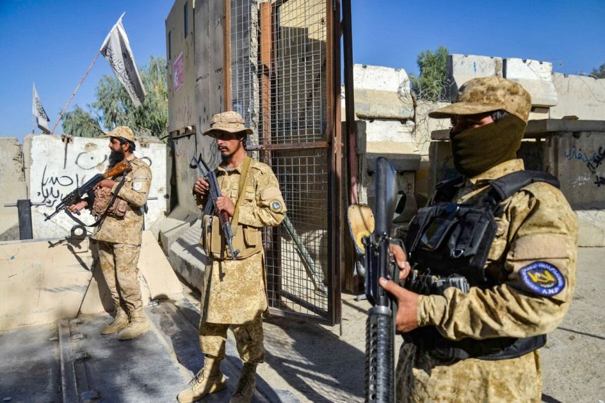 trump-insinua-intervenir-en-el-enfrentamiento-entre-pakistan-y-afganistan