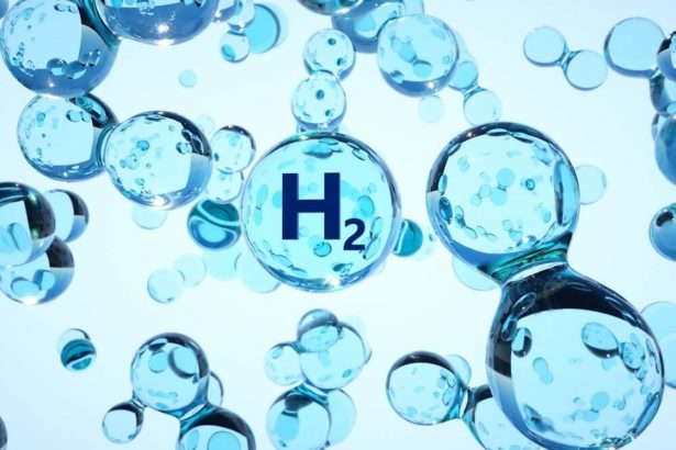 tiger-logistics-y-h2-invest-impulsaran-la-red-de-transporte-de-hidrogeno-liquido-de-la-india