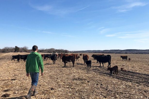 el-plan-de-trump-para-importar-carne-argentina-enfurece-a-los-agricultores-estadounidenses