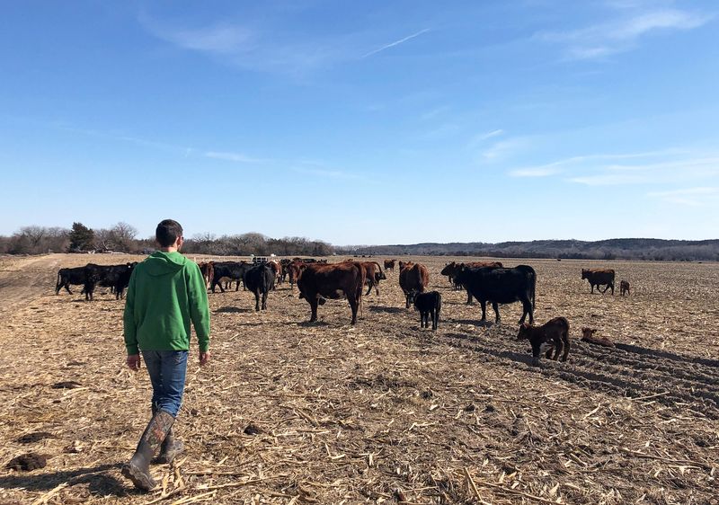 el-plan-de-trump-para-importar-carne-argentina-enfurece-a-los-agricultores-estadounidenses