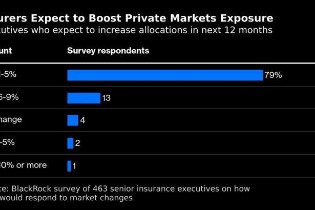 blackrock-dice-que-las-aseguradoras-esperan-seguir-aumentando-las-apuestas-privadas