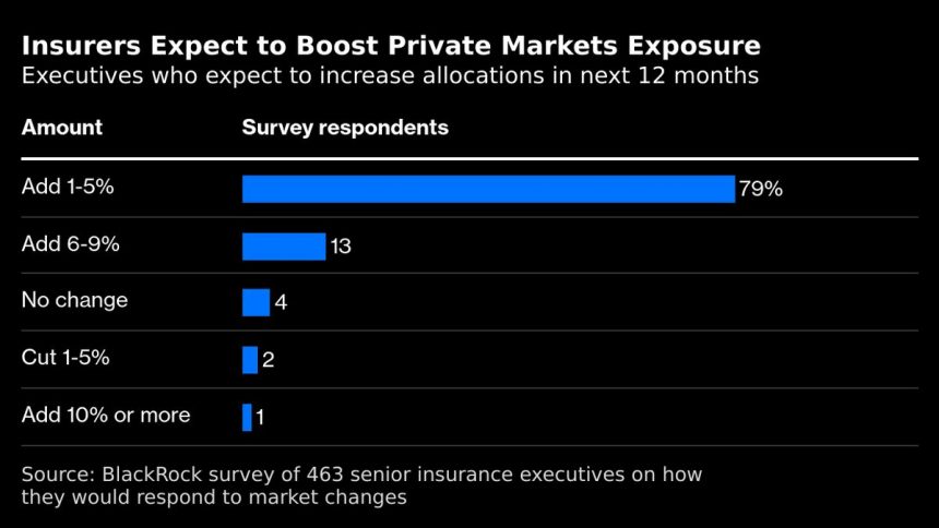 blackrock-dice-que-las-aseguradoras-esperan-seguir-aumentando-las-apuestas-privadas